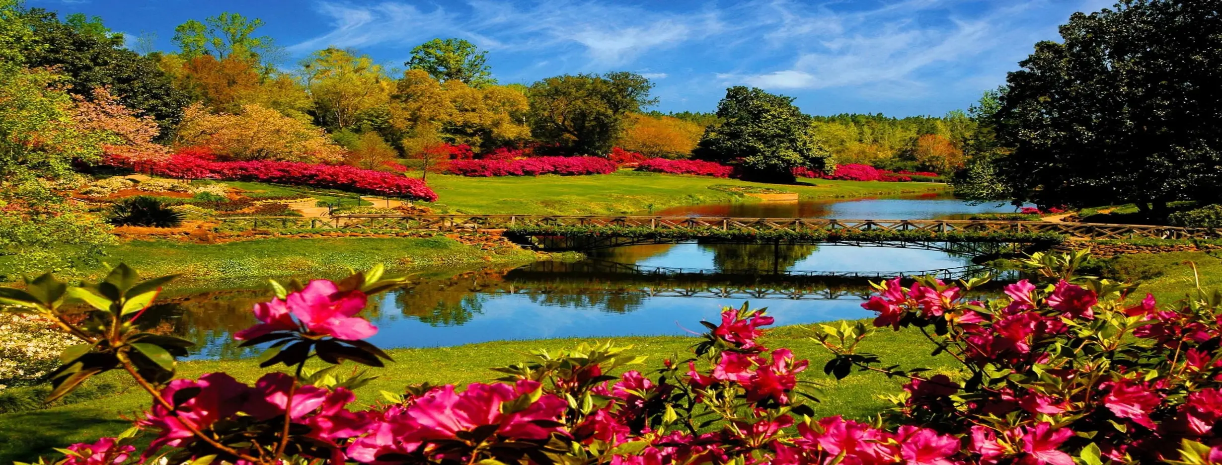 Image for Natural Beauty